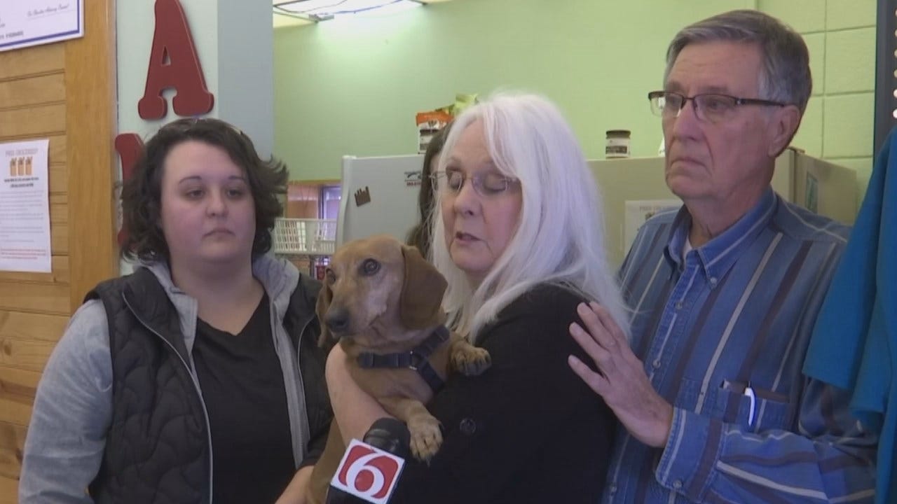 Dog Inside Stolen SUV Reunited With Coweta Owners