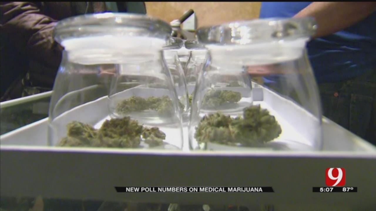 News 9 Polls Show Medical Marijuana Still Has Strong Support