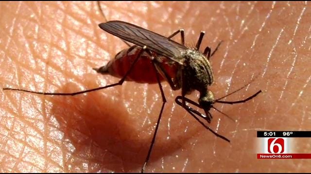 First Case Of West Nile Virus Confirmed In Tulsa County This Year