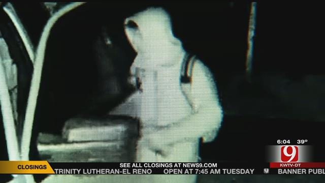 Home Surveillance Cameras Capture Vehicle Burglary