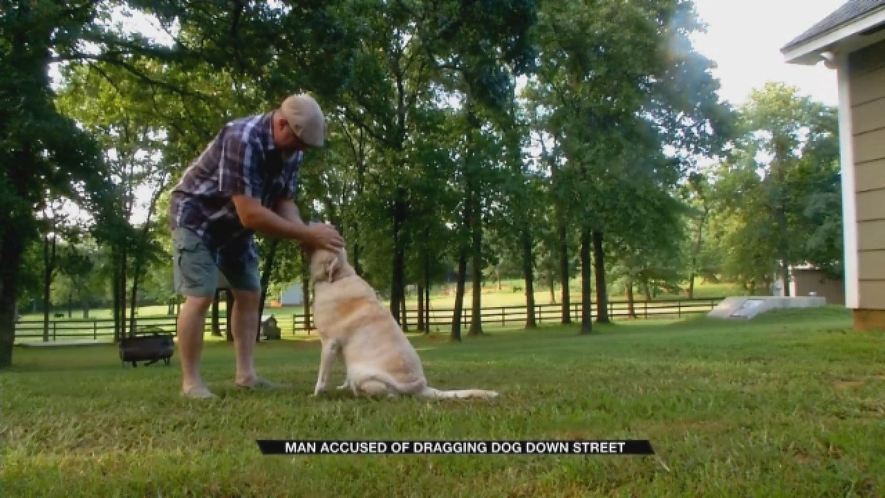 Good Samaritan Steps In To Help Dog Being Choked, Dragged By Owner