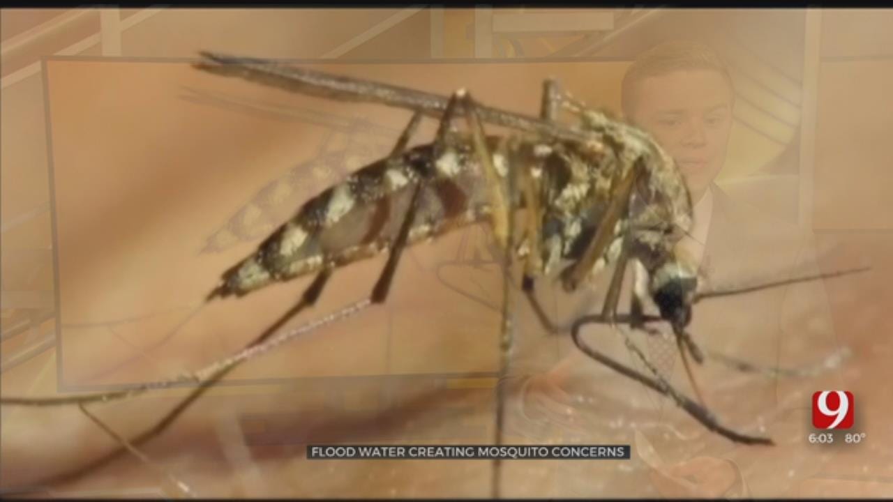 OCCHD Confirms 2 Positive West Nile Virus Mosquito Samples In Okla. County