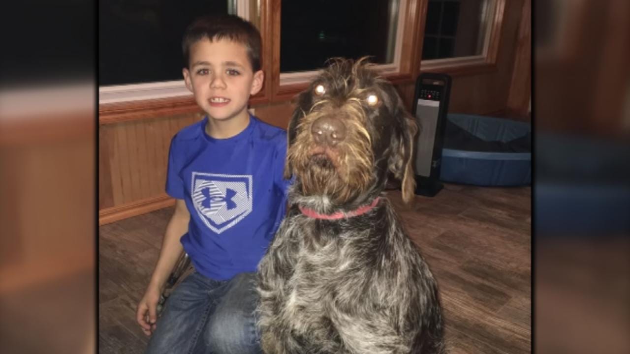 Eufaula 1st Grader Helps Save Pregnant Dog That Fell Through Ice