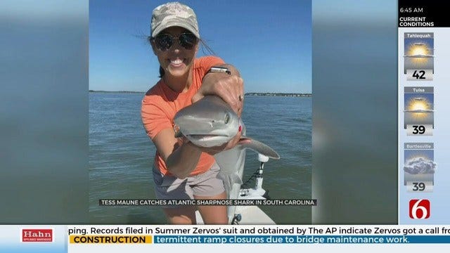 News On 6's Tess Maune Catches A Shark