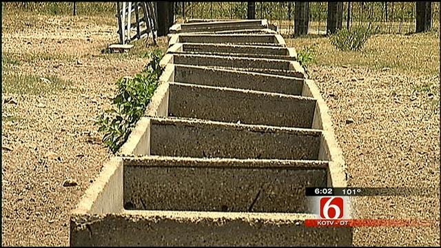 Farmers, Ranchers In Southeast Oklahoma Struggle Through Drought