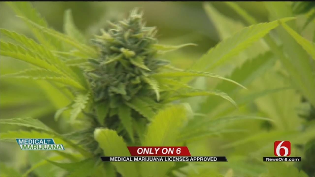 Oklahoma Veteran Awaits Medical Marijuana License