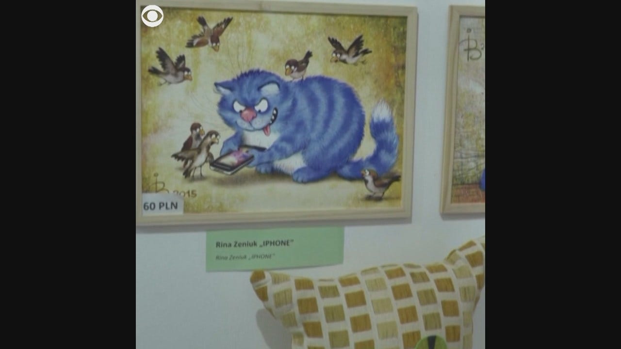 Watch: Cat museum in Poland