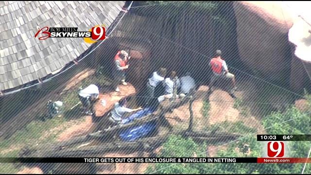 New Details Released In Tiger Enclosure Scare