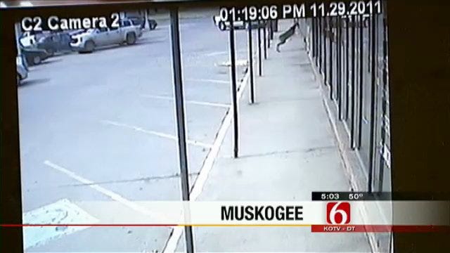 Deer Smashes Through Window At Downtown Muskogee Business