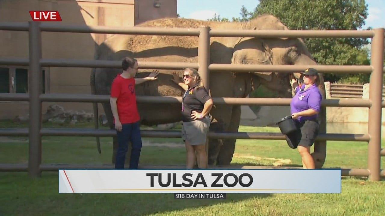 Mayor G.T. Bynum Visits Tulsa Zoo For 918-Day