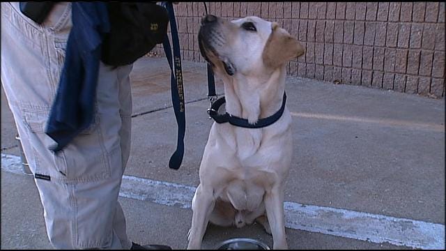 Tulsa Fire Department Enlists Help Of K-9 To Sniff Out Arson