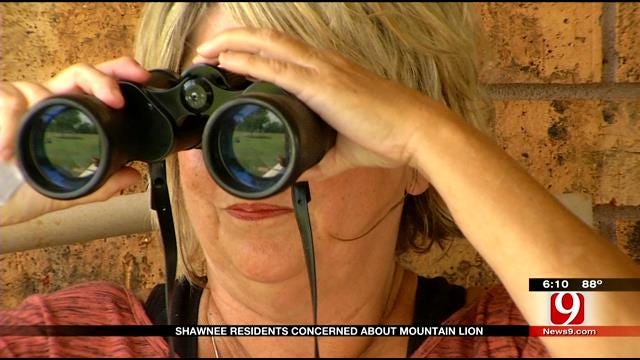 Shawnee Residents Concerned About Mountain Lion