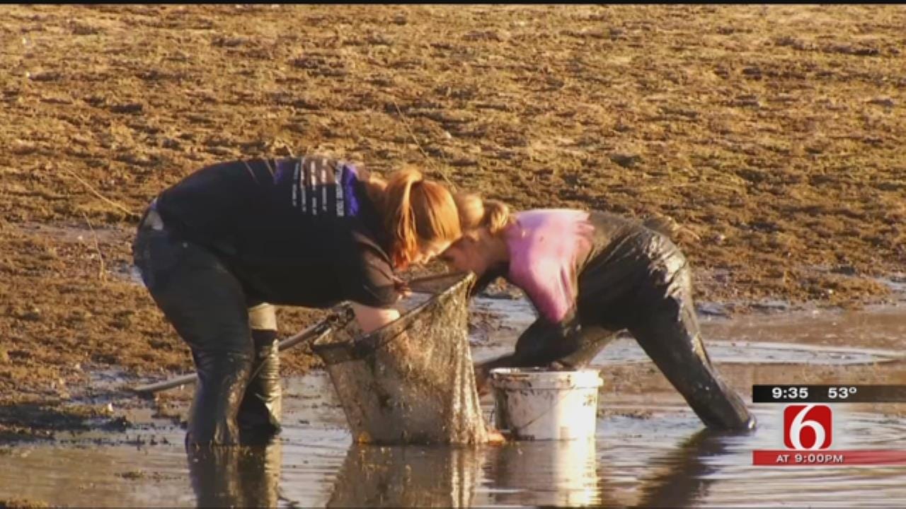 Draining Tulsa Pond Sparks Volunteer Fish, Turtle Rescue