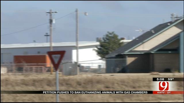 Petition Calls For Banning OK Gas Chambers To Euthanize Animals