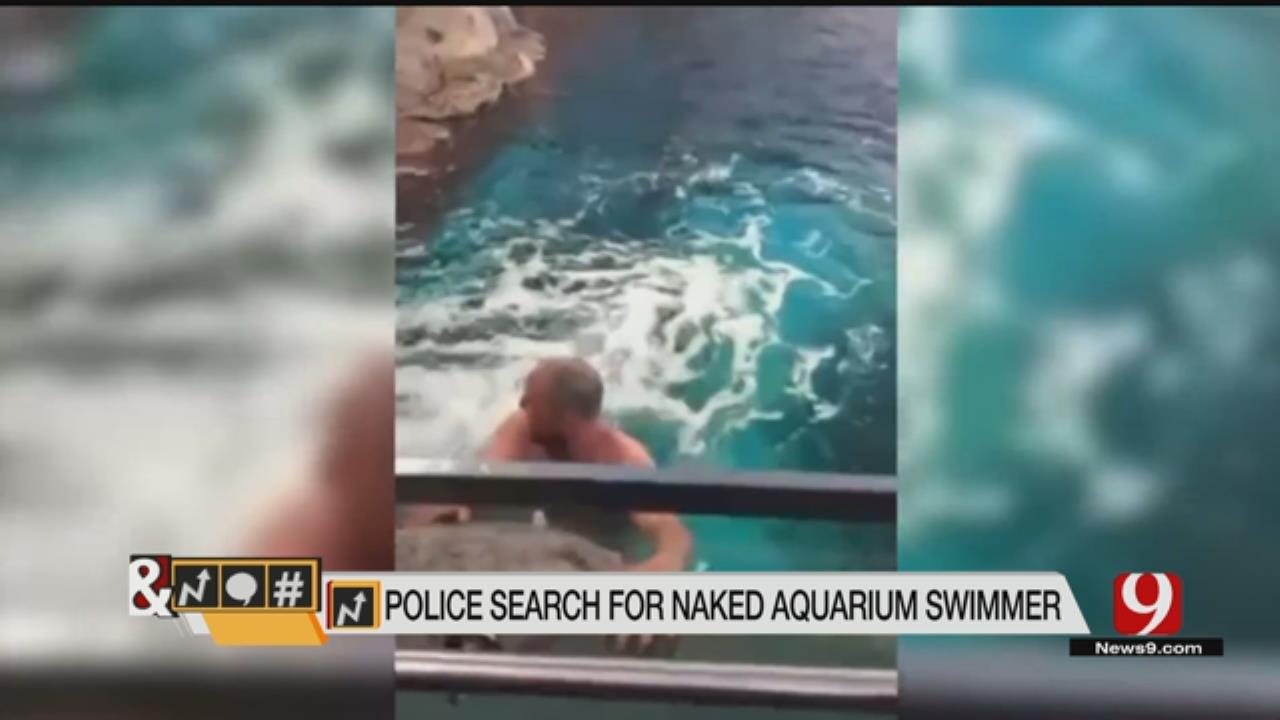 Trends, Topics & Tags: Naked Man Swims In Canada Aquarium