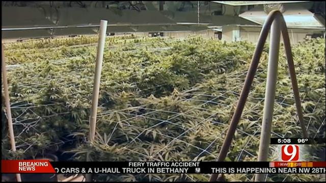Oklahomans Push To Legalize The Sale Of Marijuana