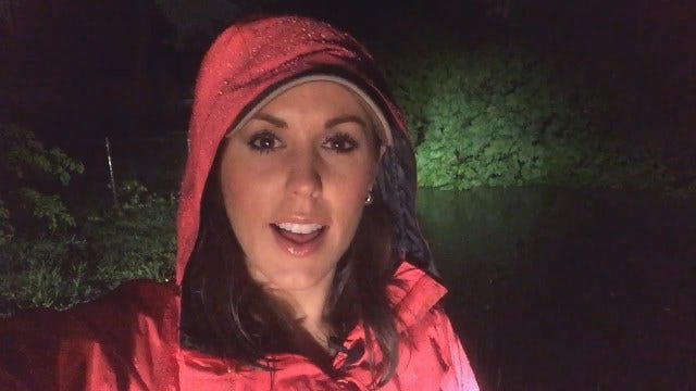 Tess Maune Reports On Trees, Power Lines Down After Storm
