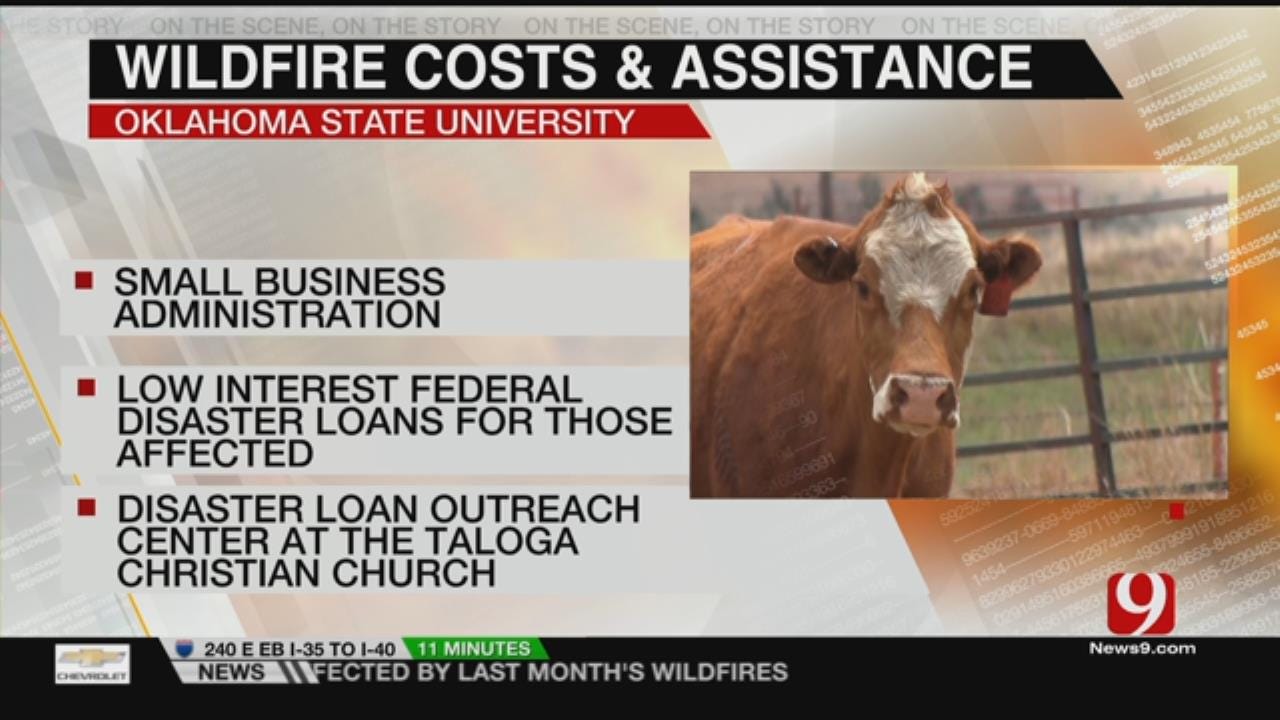 Federal Disaster Loans For Wildfire Victims