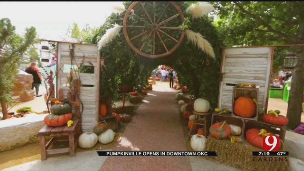 Pumpkinville Opens In Downtown OKC