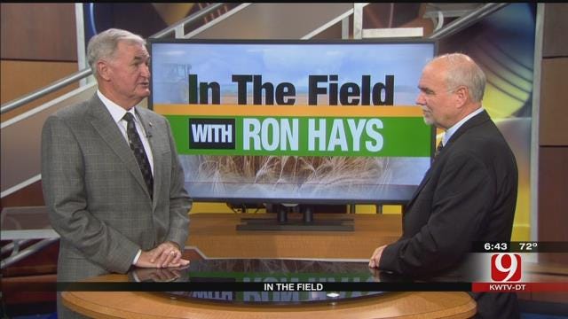 In The Field: Ron Sholar
