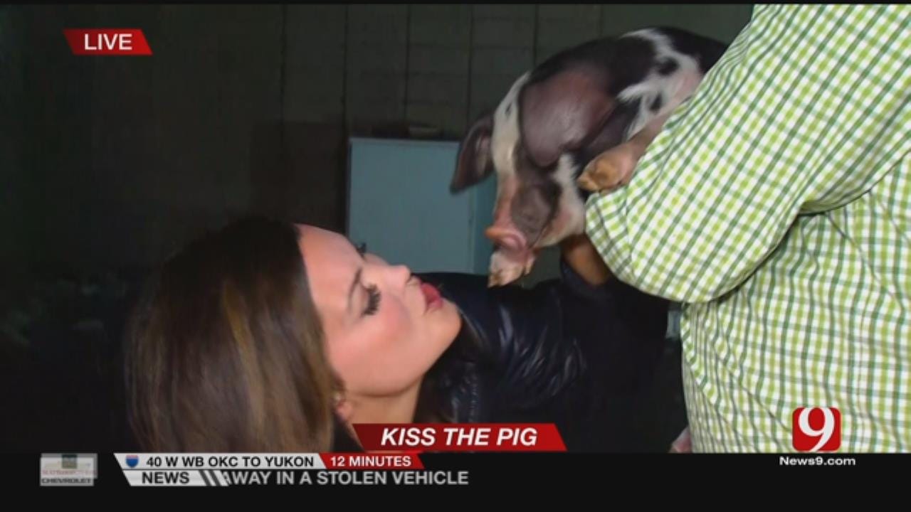 Pucker Up!: Lacie Lowry Kisses Two Pigs After Viewers Donate To Hungry Kids