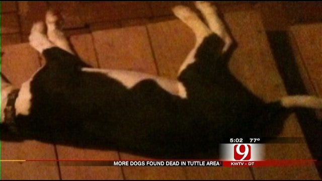 Residents Say More Dogs Being Poisoned In Tuttle Neighborhood