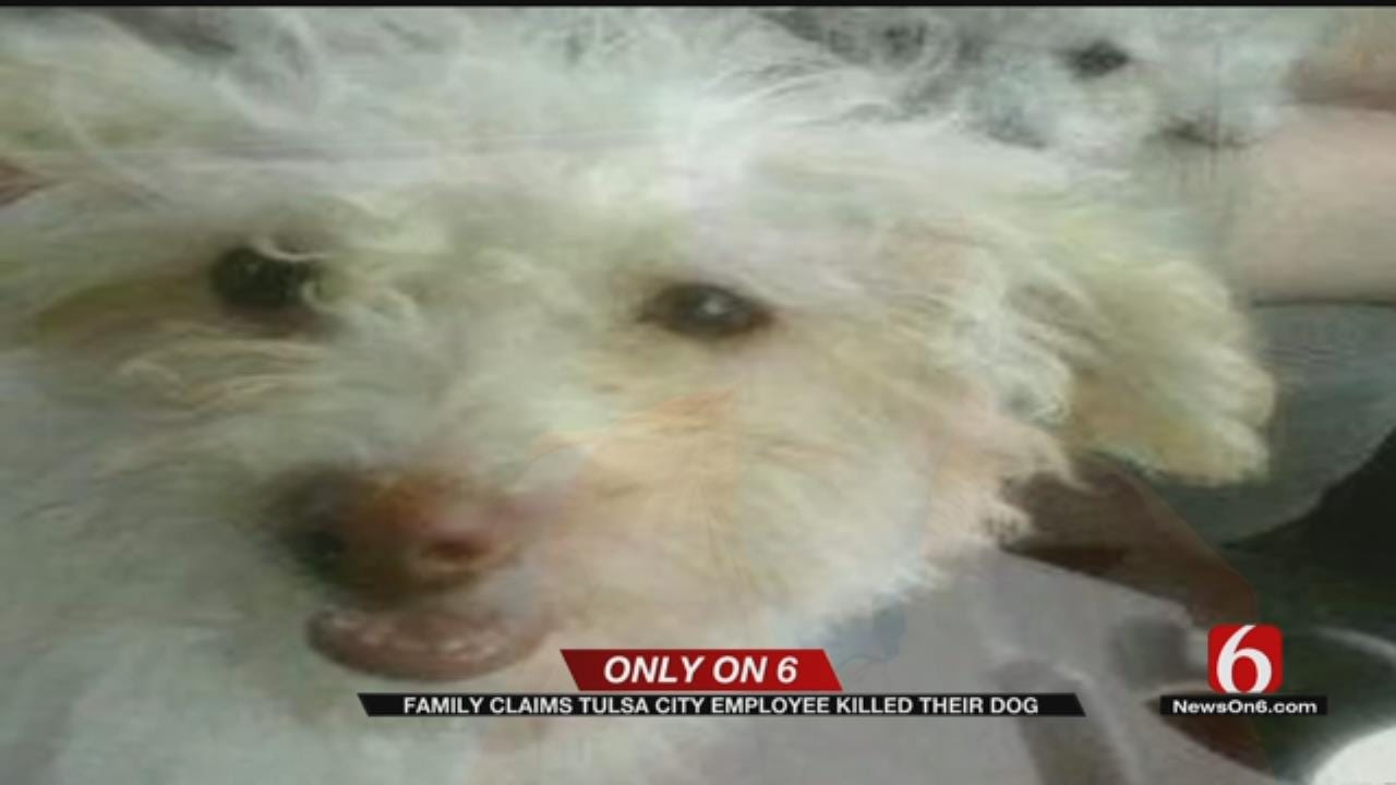 Dog Dies After Being Beaten With Metal Rod In Tulsa