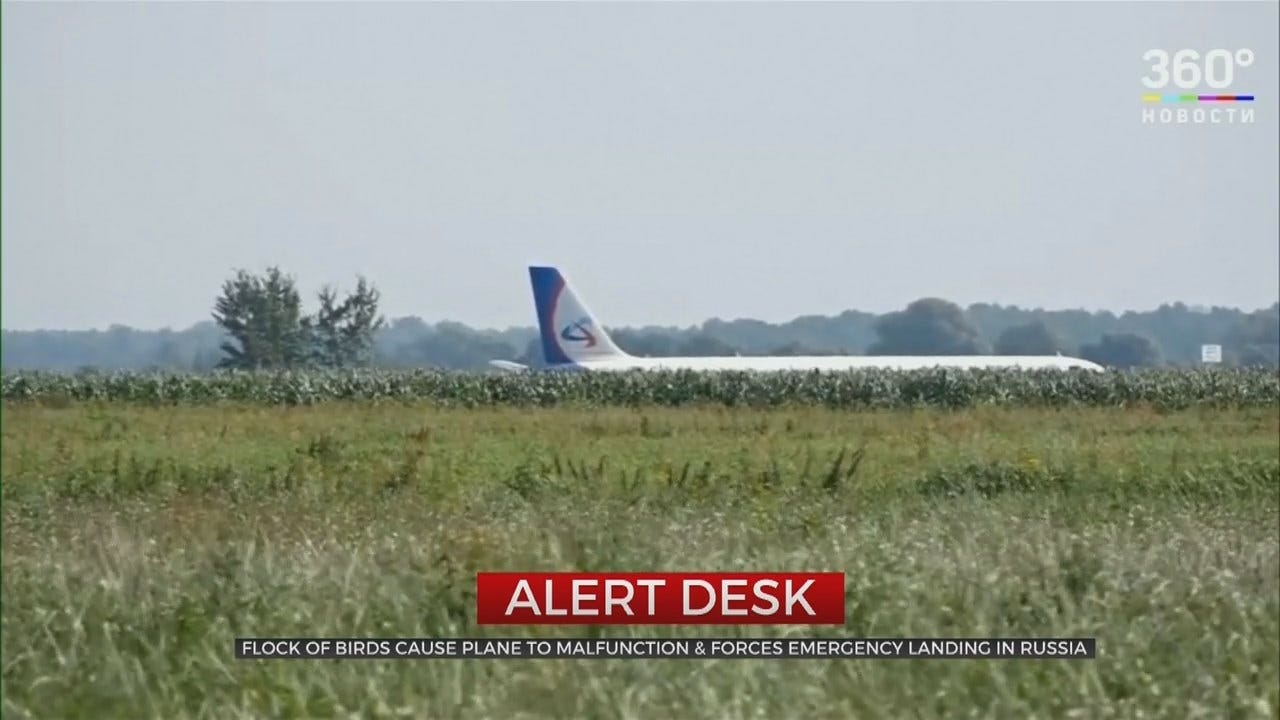 Passengers Injured In Emergency Landing After Russian Jet Hits Birds