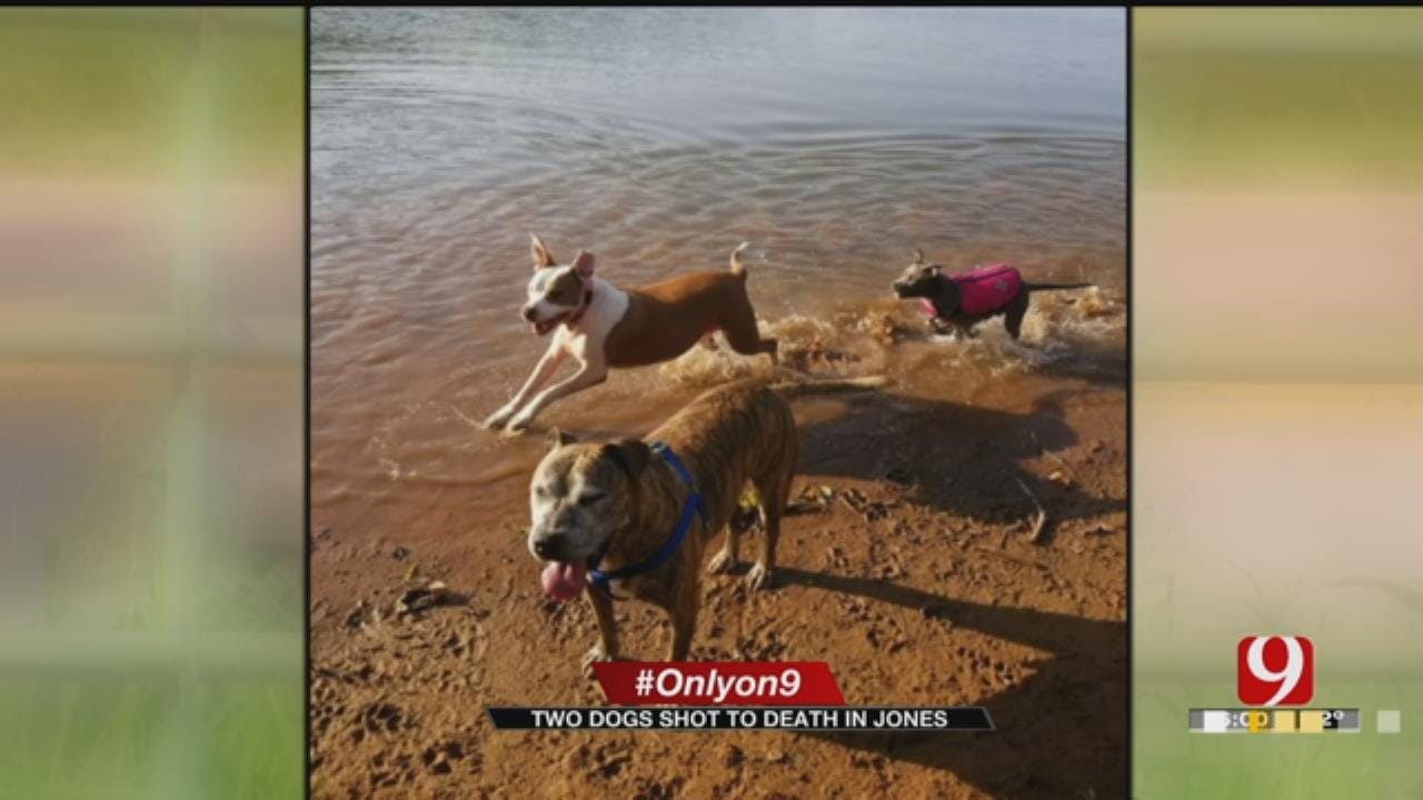 Owner Says 2 Dogs Brutally Killed In Jones