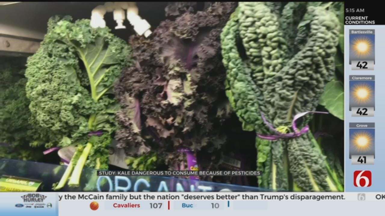 Kale Added To Annual List Of Fruits And Veggies With Most Pesticides