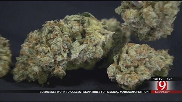 Businesses Work To Collect Signatures For Medical Marijuana Petition