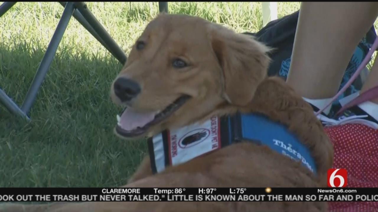 'Clear The Shelters' Pet Adoption Event Underway Across Oklahoma