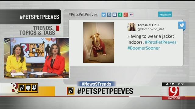 Trends, Topics, & Tags: #PetsPetPeeves