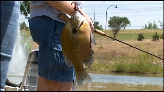 DEQ Advises Limiting Fish Consumption From 32 Oklahoma Lakes