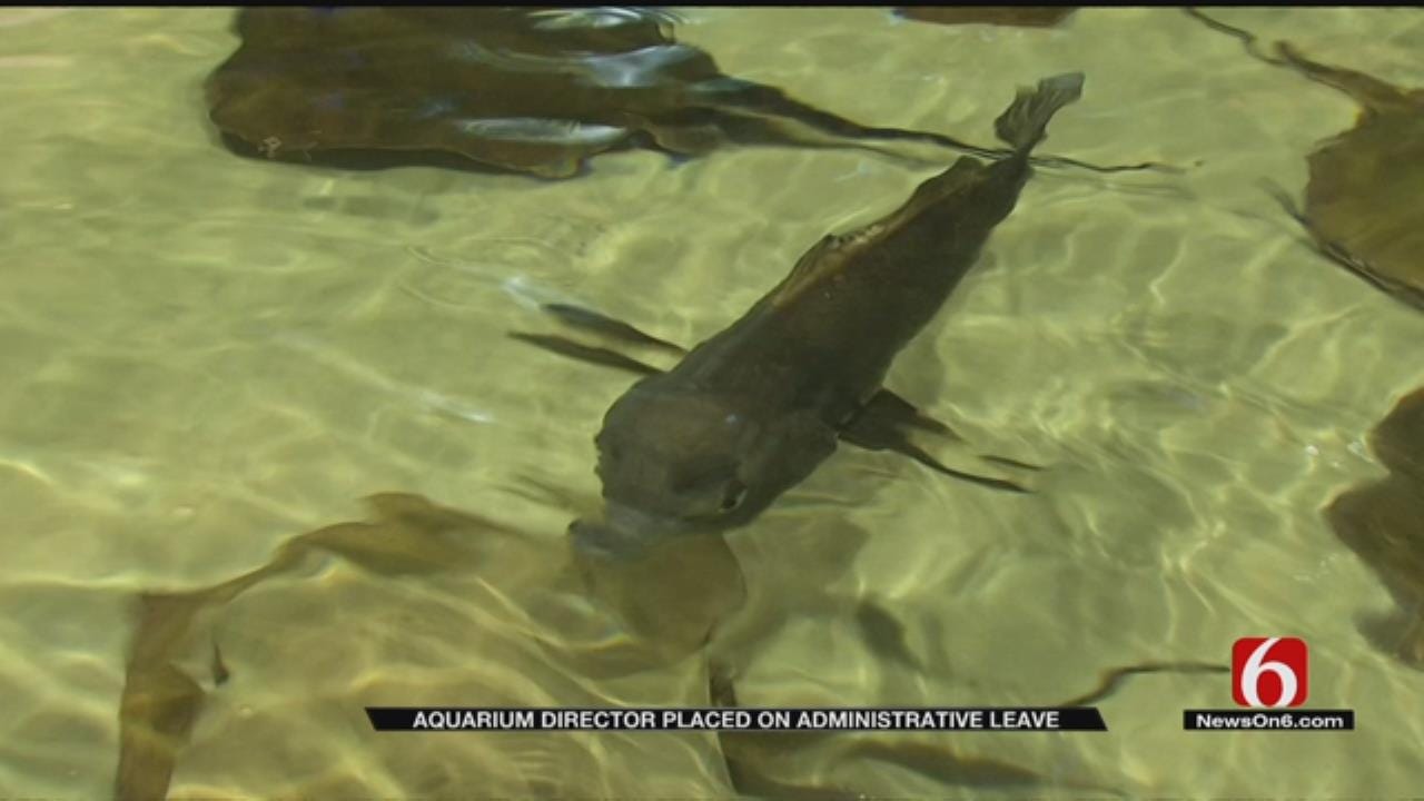 Jenks City Officials Remain Mum On Aquarium Director