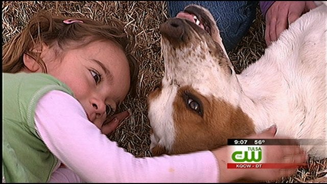 Abandoned Dog Gets Second Chance With Broken Arrow Family