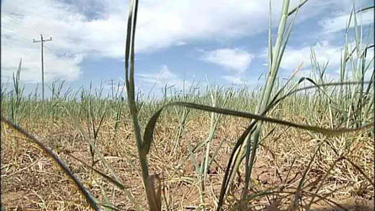 Heavy Rainfall Ends Prolonged Drought In Oklahoma