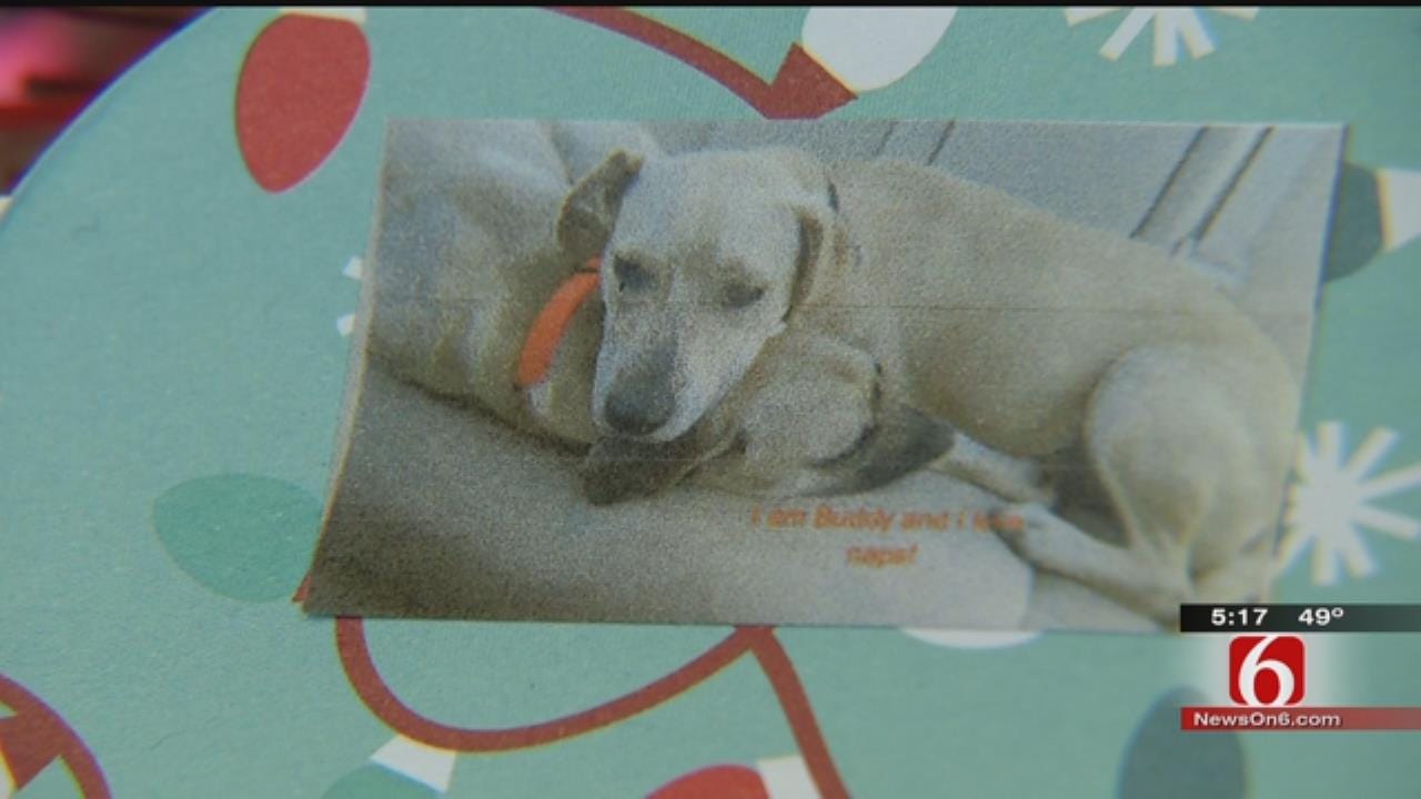 Local Rescue Using Holiday Trees To Help Provide For Puppies