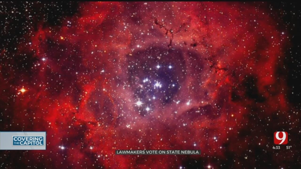 Lawmakers Vote On State Nebula
