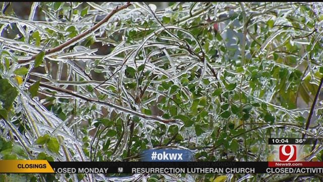 Winter Storm Clean Up Begins After Ice Melts In OKC Metro