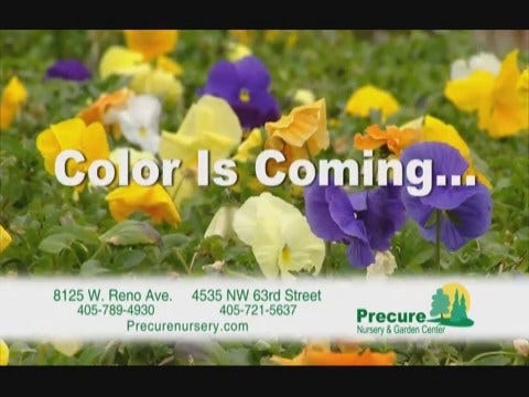Precure Nursery: Color is Coming Preroll - 02/18