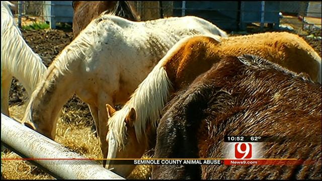 Deputies: Worst Case Of Animal Abuse They've Ever Seen