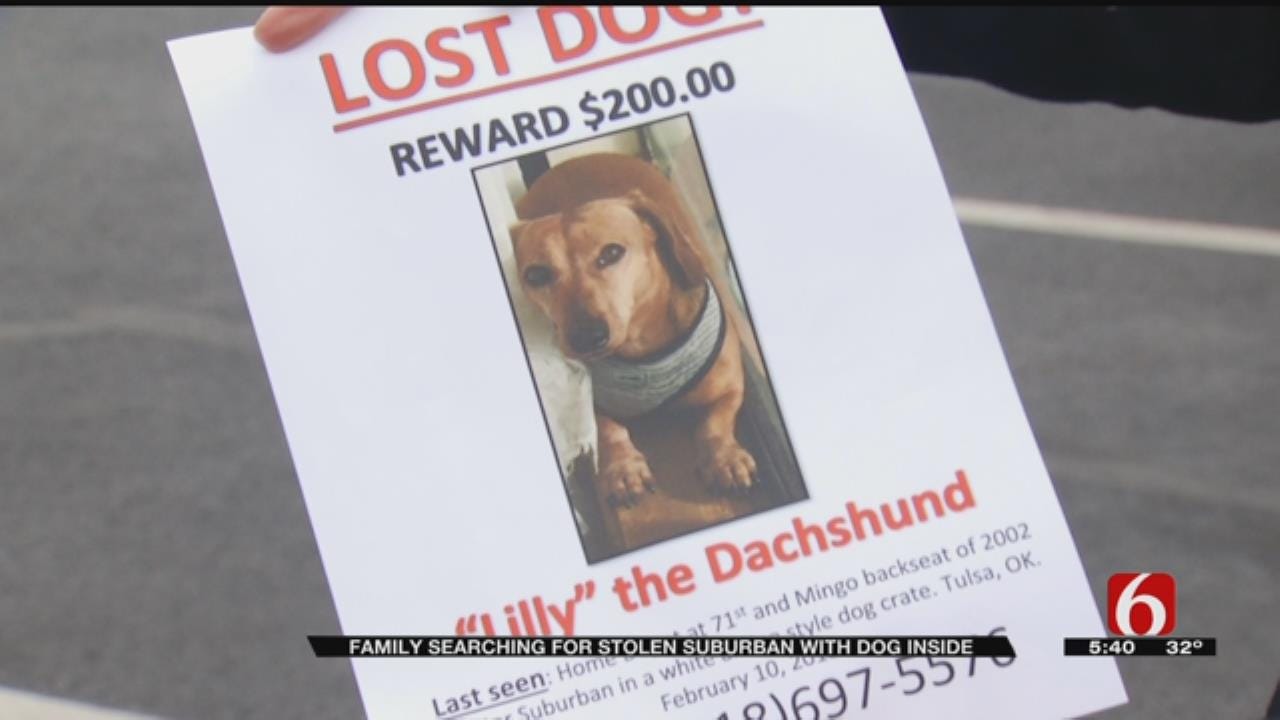 Dog Missing Along With Stolen Car, Coweta Couple Says