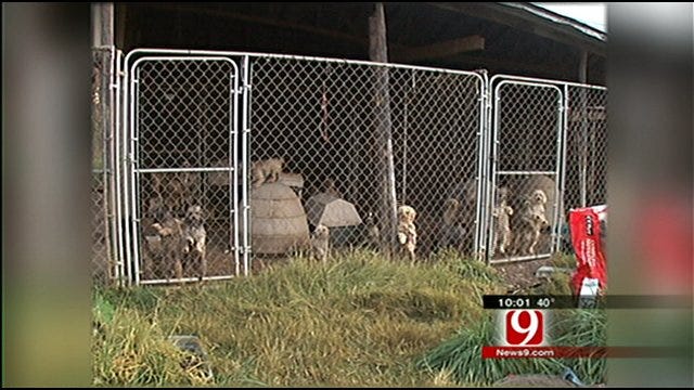Pet Breeders Say Puppy Mill Regulation Bill 'Won't Work'