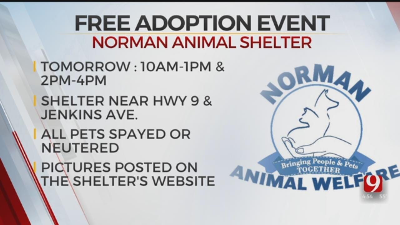 Norman Animal Welfare Hosts Free Adoption Event Saturday