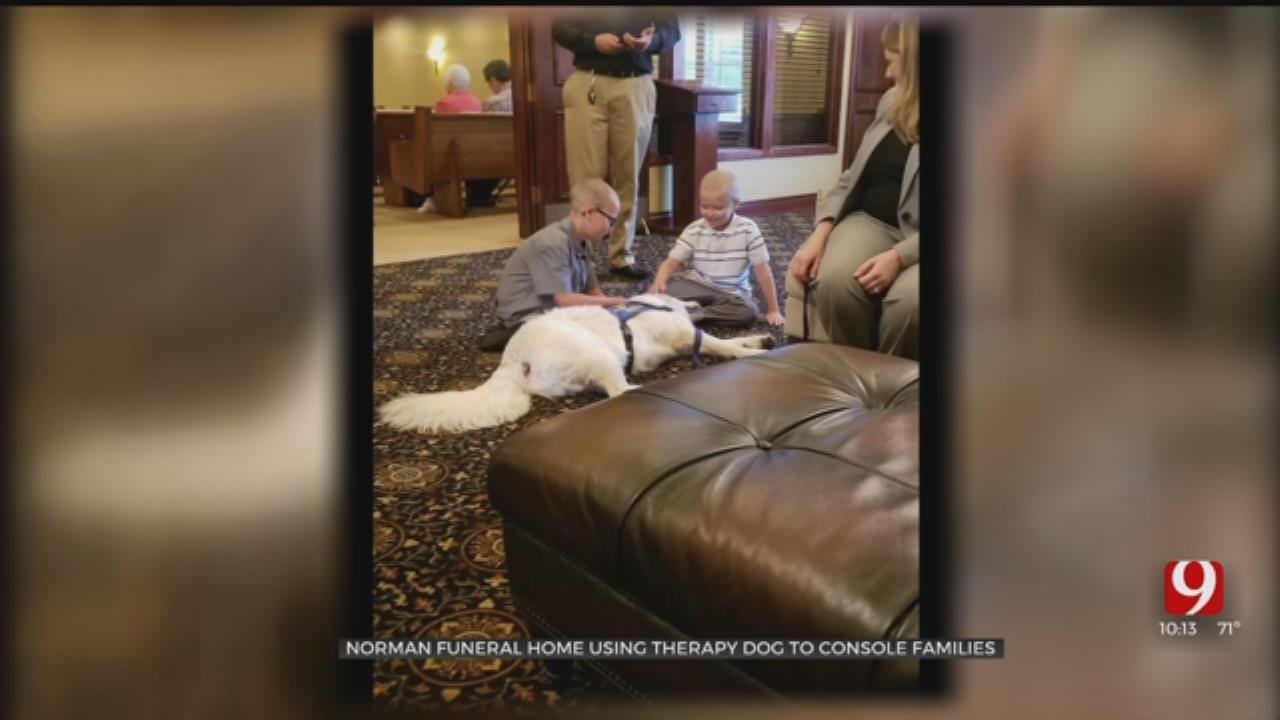 Norman Funeral Home Has Therapy Dog To Help Grieving Families
