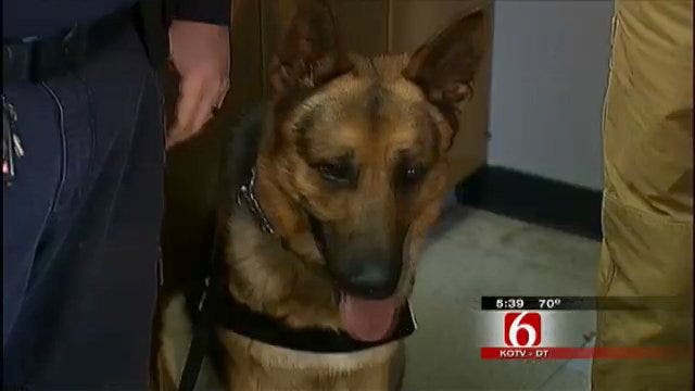 Rogers County K9 Sniffs Out Drug Money