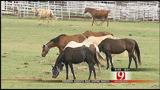 Oklahoma Horse Operation Was Front For Mexican Drug Cartel