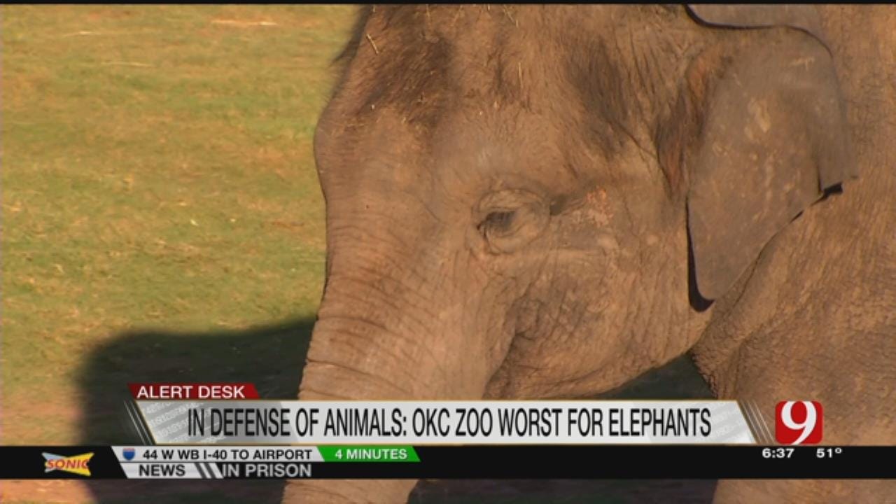 OKC Zoo Named One Of Worst For Elephants