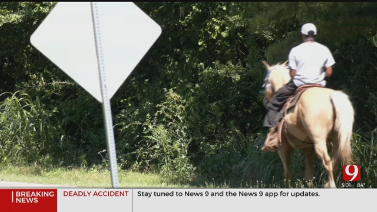 Spencer Residents Urge Drivers To Slow Down After Horse Dies, Teen Injured In Hit-And-Run